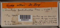 Image Associated With the Occurence